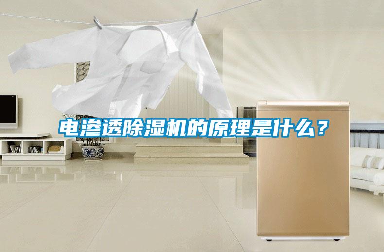電滲透除濕機的原理是什么？
