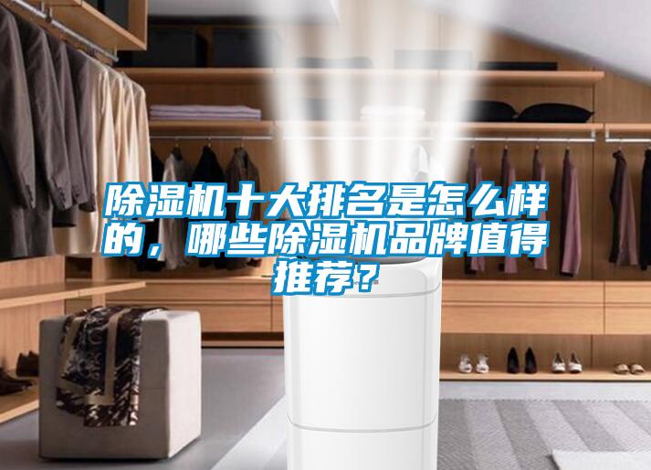 除濕機(jī)十大排名是怎么樣的，哪些除濕機(jī)品牌值得推薦？