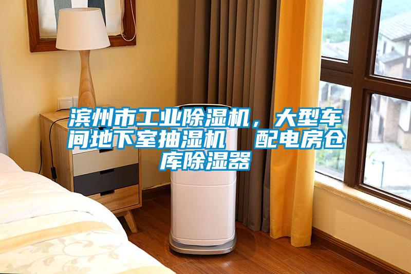 濱州市工業(yè)除濕機，大型車間地下室抽濕機  配電房倉庫除濕器