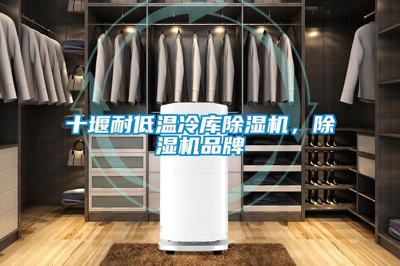 十堰耐低溫冷庫(kù)除濕機(jī)，除濕機(jī)品牌