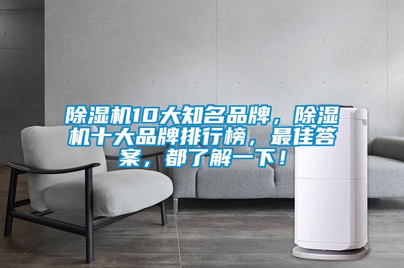 除濕機10大知名品牌，除濕機十大品牌排行榜，最佳答案，都了解一下！