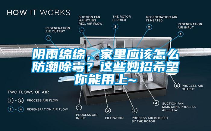 陰雨綿綿，家里應(yīng)該怎么防潮除霉？這些妙招希望你能用上~