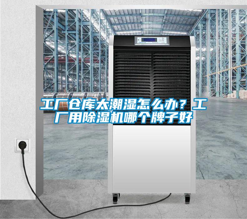 工廠倉(cāng)庫(kù)太潮濕怎么辦？工廠用除濕機(jī)哪個(gè)牌子好