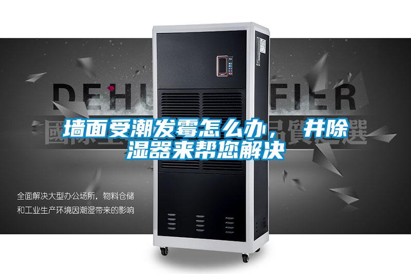 墻面受潮發(fā)霉怎么辦，東井除濕器來(lái)幫您解決