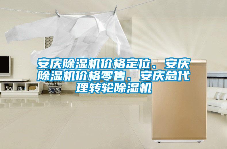 安慶除濕機價格定位、安慶除濕機價格零售、安慶總代理轉(zhuǎn)輪除濕機