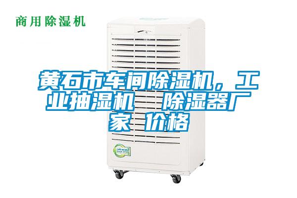 黃石市車間除濕機(jī)，工業(yè)抽濕機(jī)  除濕器廠家 價(jià)格
