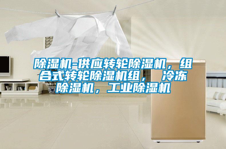 除濕機-供應(yīng)轉(zhuǎn)輪除濕機，組合式轉(zhuǎn)輪除濕機組， 冷凍除濕機，工業(yè)除濕機