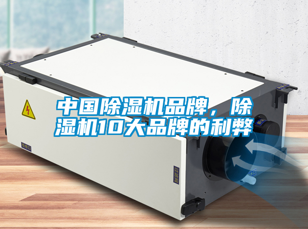 中國(guó)除濕機(jī)品牌，除濕機(jī)10大品牌的利弊