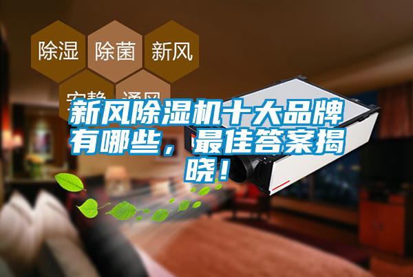 新風(fēng)除濕機(jī)十大品牌有哪些，最佳答案揭曉！