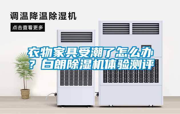 衣物家具受潮了怎么辦？白朗除濕機(jī)體驗(yàn)測評