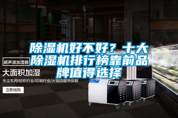 除濕機好不好？十大除濕機排行榜靠前品牌值得選擇
