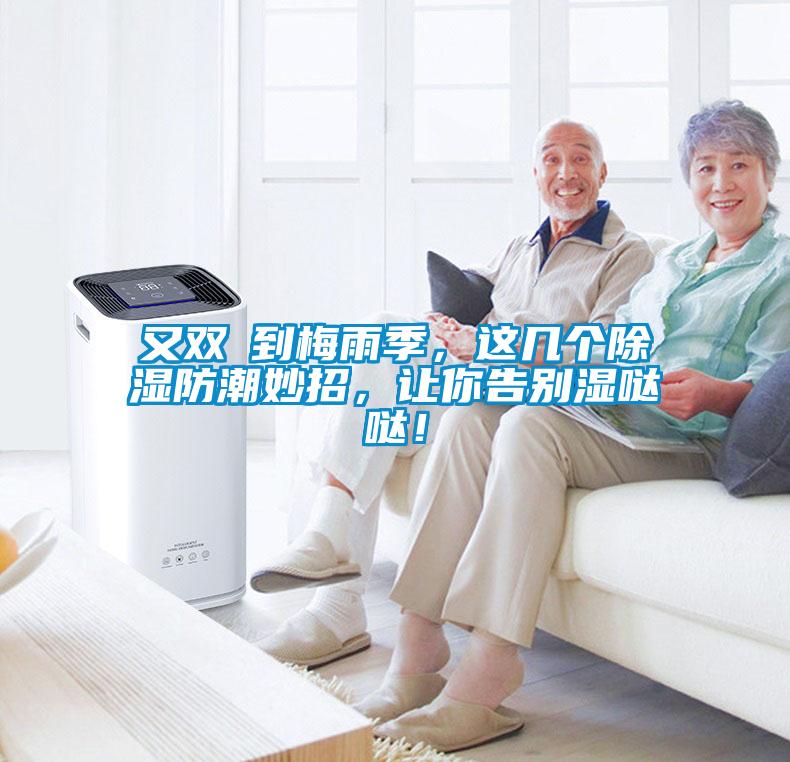 又雙叒到梅雨季，這幾個除濕防潮妙招，讓你告別濕噠噠！