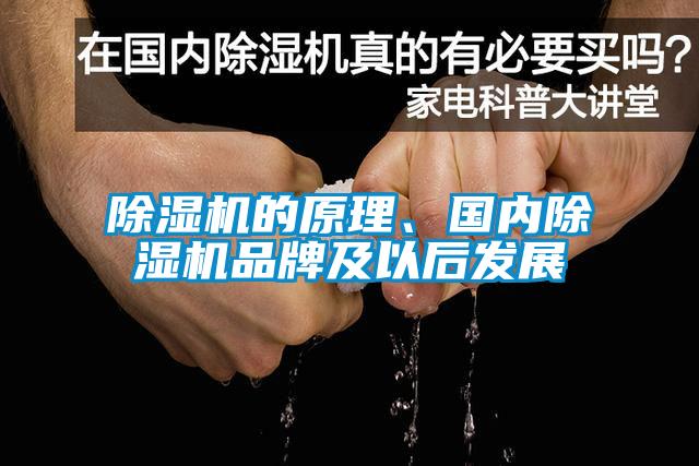 除濕機(jī)的原理、國內(nèi)除濕機(jī)品牌及以后發(fā)展