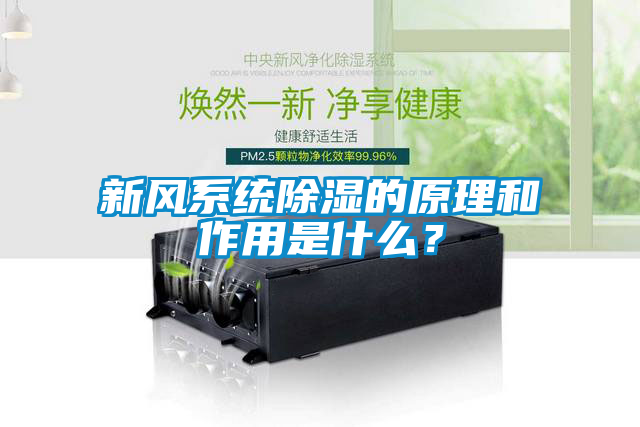 新風(fēng)系統(tǒng)除濕的原理和作用是什么？