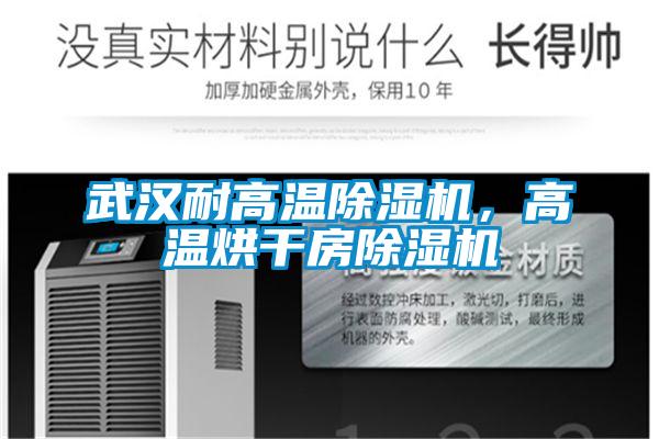 武漢耐高溫除濕機，高溫烘干房除濕機