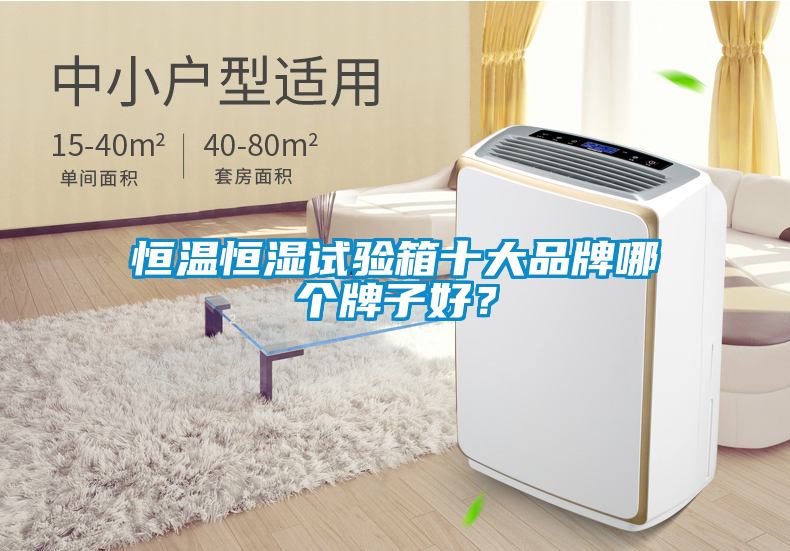 恒溫恒濕試驗箱十大品牌哪個牌子好？
