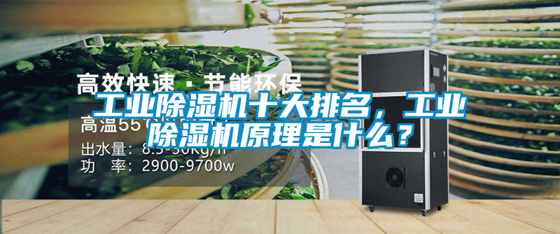 工業(yè)除濕機十大排名，工業(yè)除濕機原理是什么？