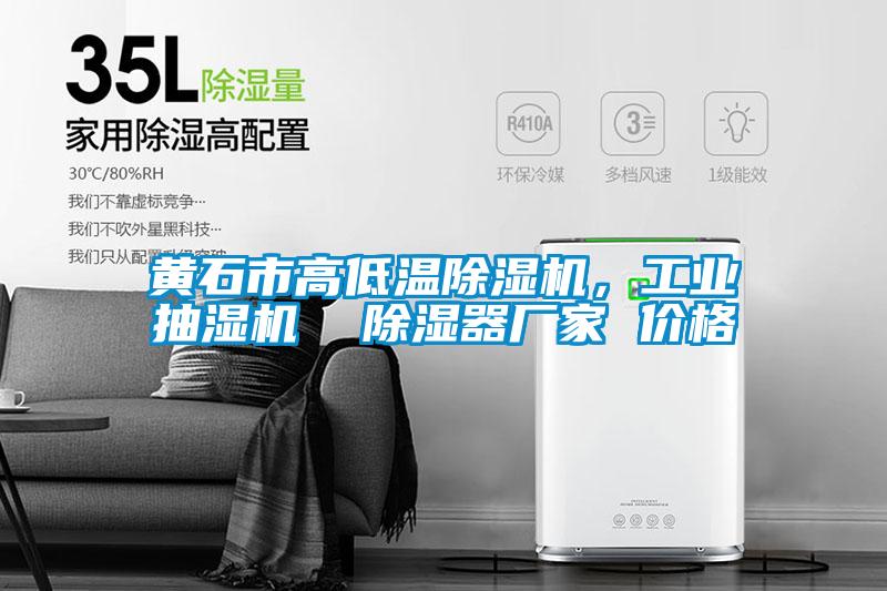 黃石市高低溫除濕機(jī)，工業(yè)抽濕機(jī)  除濕器廠家 價格