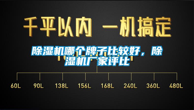 除濕機(jī)哪個(gè)牌子比較好，除濕機(jī)廠家評比