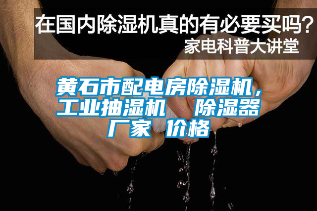 黃石市配電房除濕機(jī)，工業(yè)抽濕機(jī)  除濕器廠家 價(jià)格