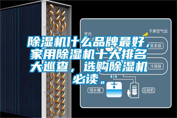 除濕機(jī)什么品牌最好，家用除濕機(jī)十大排名大巡查，選購(gòu)除濕機(jī)必讀。