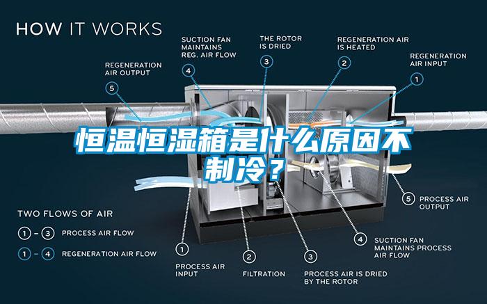 恒溫恒濕箱是什么原因不制冷？