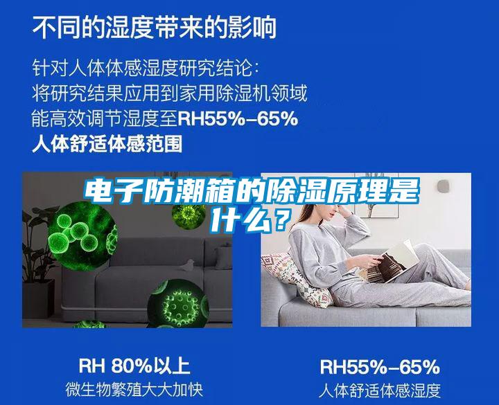 電子防潮箱的除濕原理是什么？