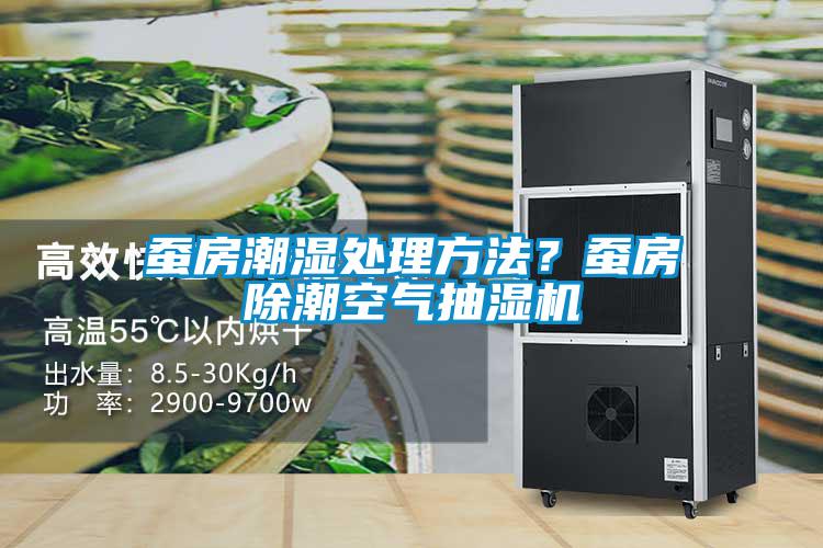 蠶房潮濕處理方法？蠶房除潮空氣抽濕機(jī)