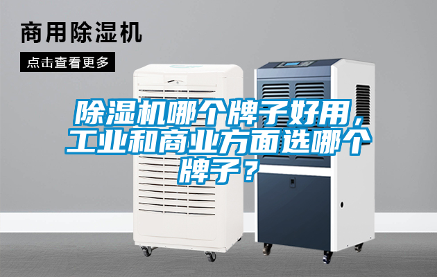 除濕機(jī)哪個牌子好用，工業(yè)和商業(yè)方面選哪個牌子？