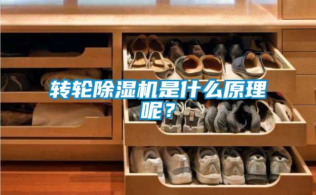 轉(zhuǎn)輪除濕機(jī)是什么原理呢？