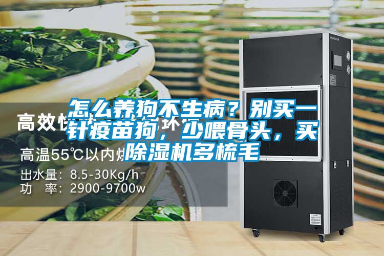 怎么養(yǎng)狗不生?。縿e買一針疫苗狗，少喂骨頭，買除濕機(jī)多梳毛
