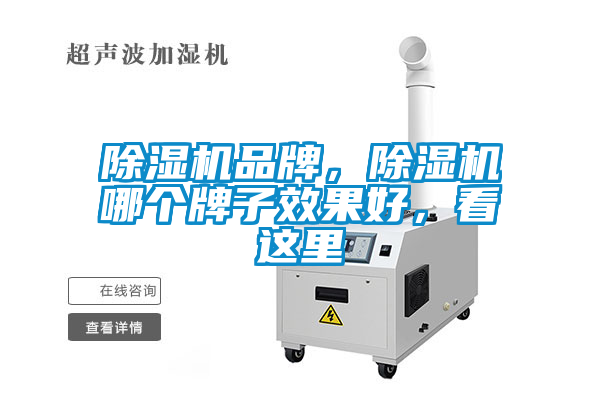 除濕機(jī)品牌，除濕機(jī)哪個牌子效果好，看這里