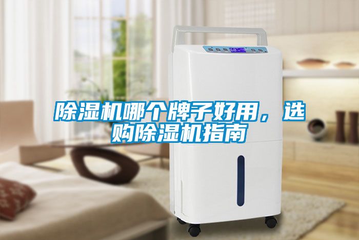 除濕機哪個牌子好用，選購除濕機指南