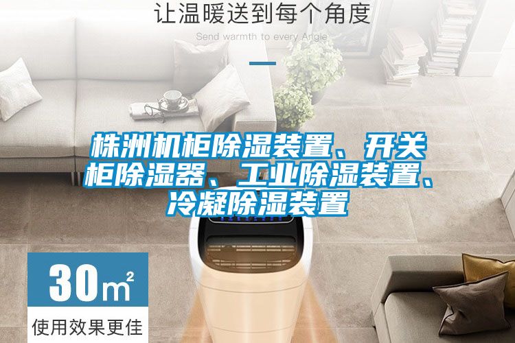 株洲機柜除濕裝置、開關柜除濕器、工業(yè)除濕裝置、冷凝除濕裝置
