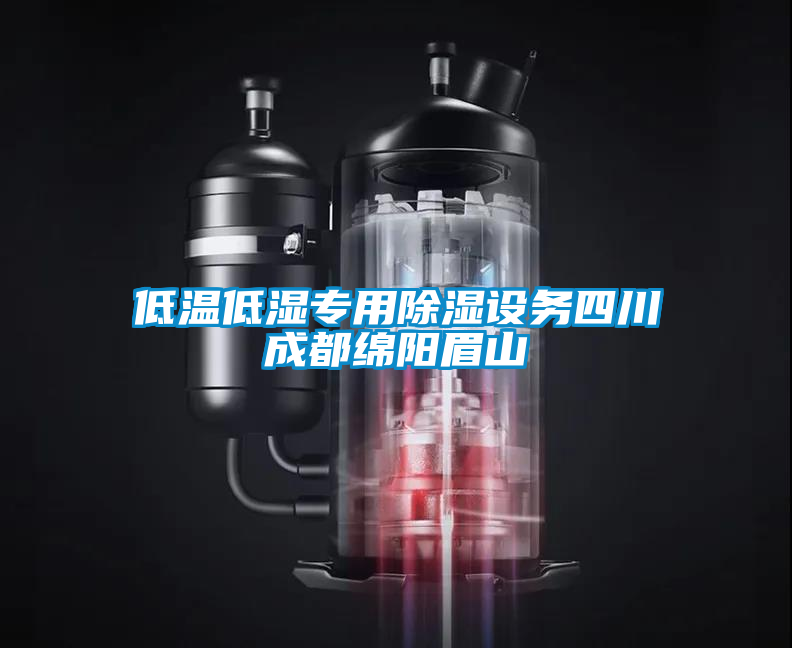 低溫低濕專用除濕設(shè)務(wù)四川成都綿陽(yáng)眉山