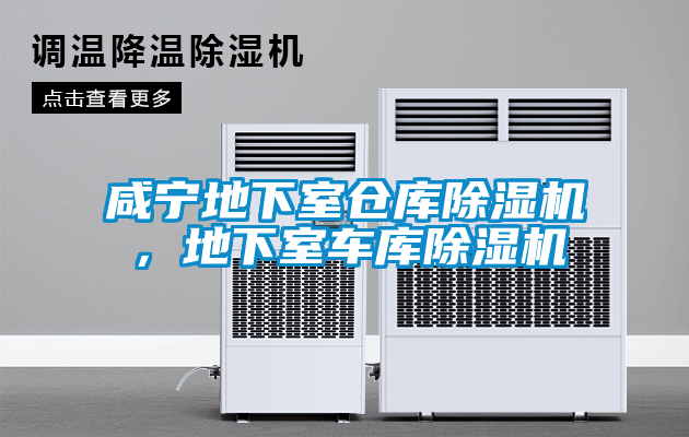 咸寧地下室倉庫除濕機(jī)，地下室車庫除濕機(jī)