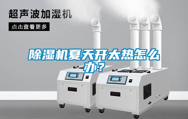 除濕機(jī)夏天開(kāi)太熱怎么辦？