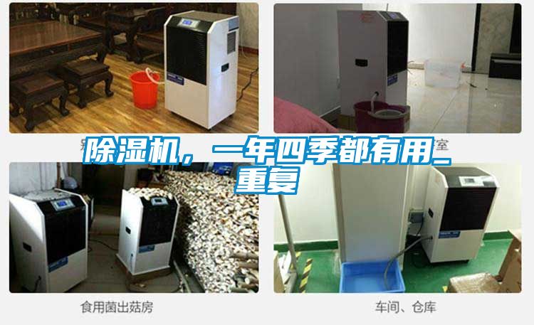 除濕機，一年四季都有用_重復