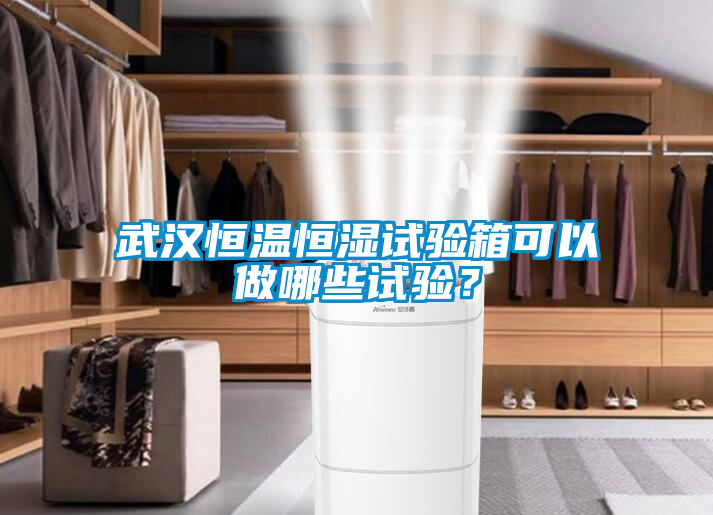 武漢恒溫恒濕試驗(yàn)箱可以做哪些試驗(yàn)？