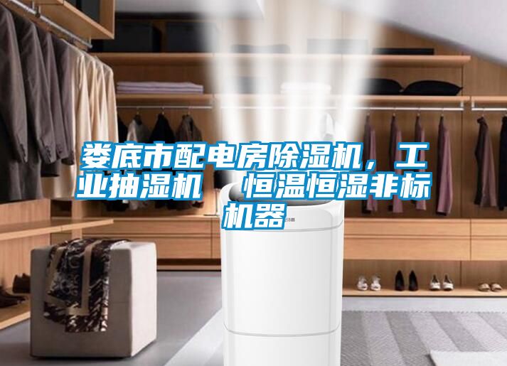 婁底市配電房除濕機，工業(yè)抽濕機  恒溫恒濕非標機器