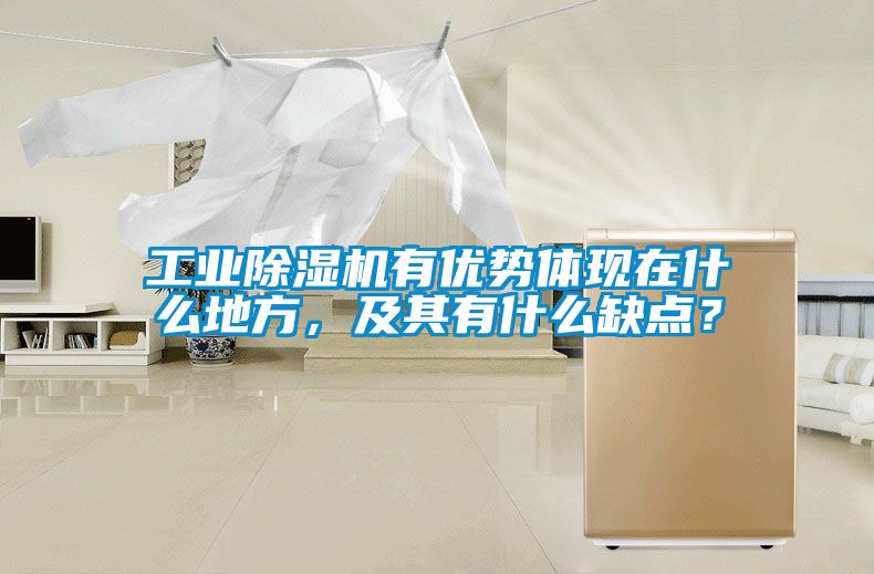 工業(yè)除濕機(jī)有優(yōu)勢(shì)體現(xiàn)在什么地方，及其有什么缺點(diǎn)？