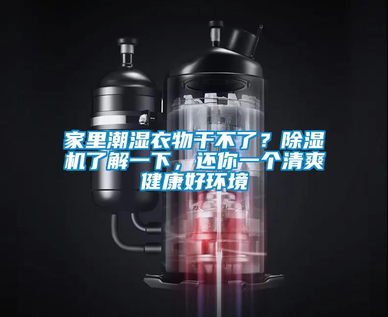 家里潮濕衣物干不了？除濕機了解一下，還你一個清爽健康好環(huán)境