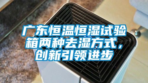 廣東恒溫恒濕試驗箱兩種去濕方式，創(chuàng)新引領進步