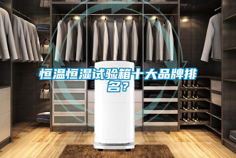 恒溫恒濕試驗(yàn)箱十大品牌排名？