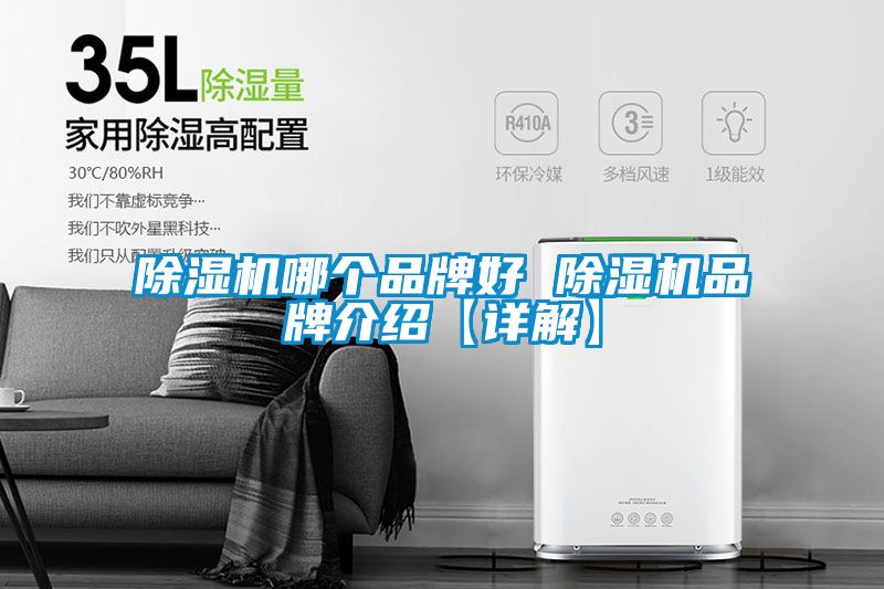 除濕機(jī)哪個品牌好 除濕機(jī)品牌介紹【詳解】