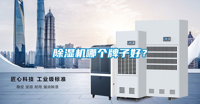 除濕機(jī)哪個(gè)牌子好？