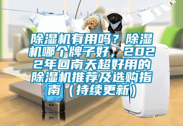 除濕機(jī)有用嗎？除濕機(jī)哪個牌子好，2022年回南天超好用的除濕機(jī)推薦及選購指南（持續(xù)更新）