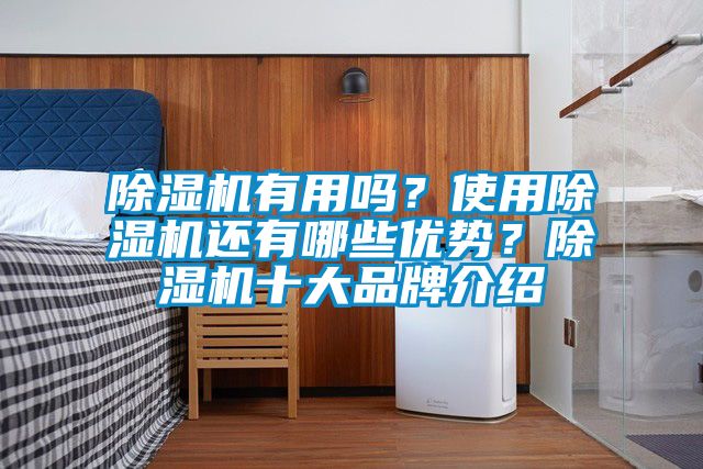 除濕機有用嗎？使用除濕機還有哪些優(yōu)勢？除濕機十大品牌介紹