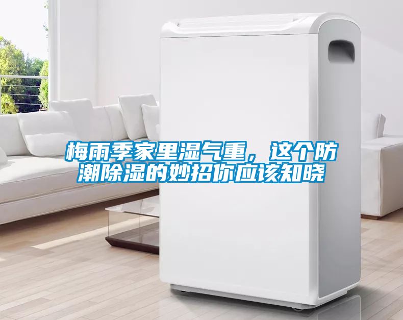 梅雨季家里濕氣重，這個防潮除濕的妙招你應(yīng)該知曉