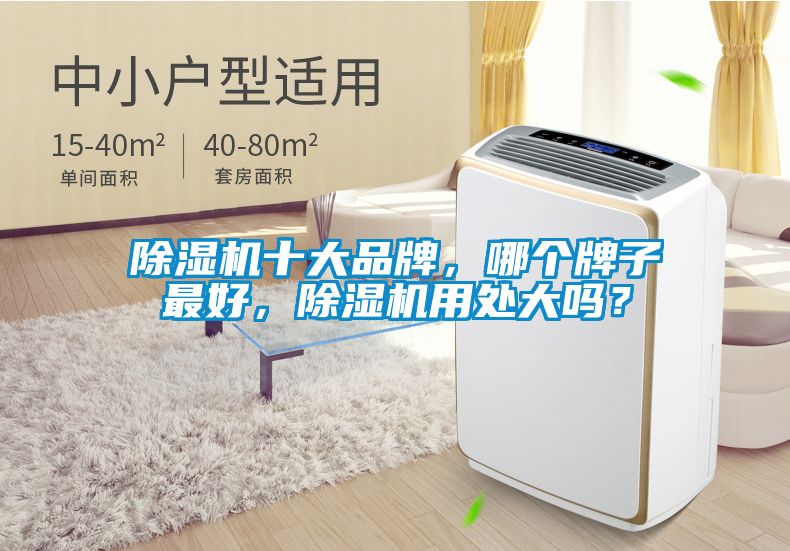 除濕機十大品牌，哪個牌子最好，除濕機用處大嗎？